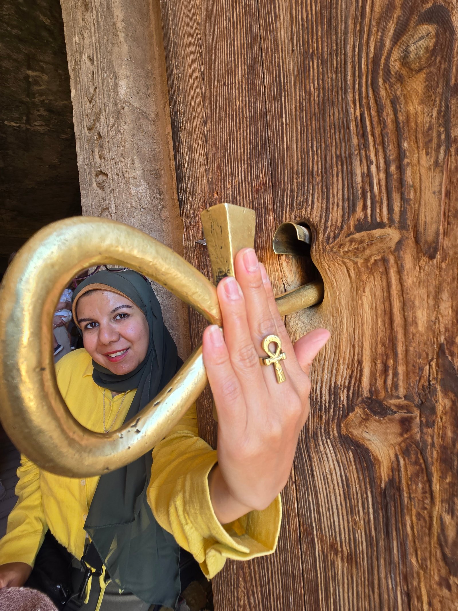 نيرمين فكري