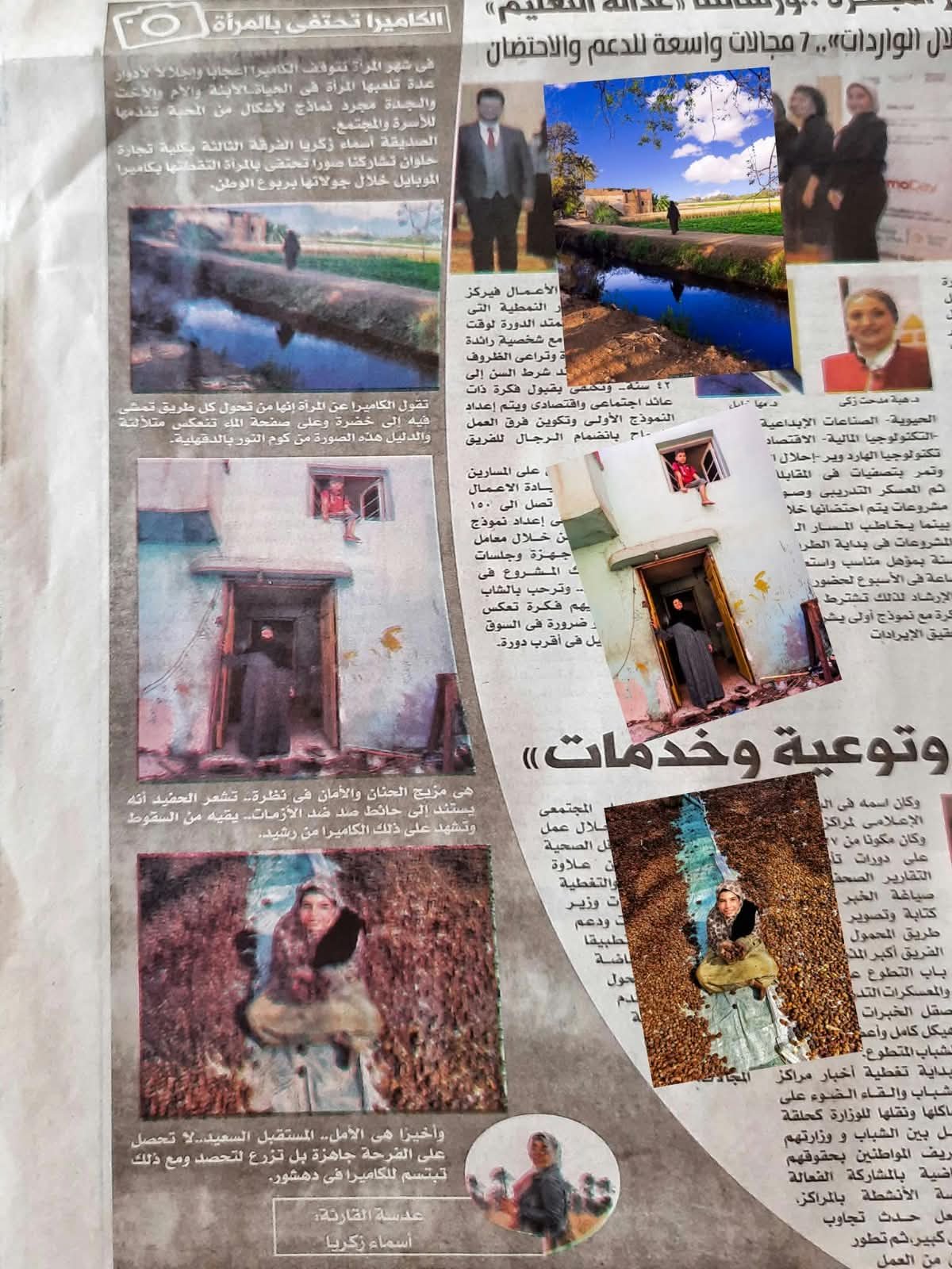 حصاد البلح في دهشور