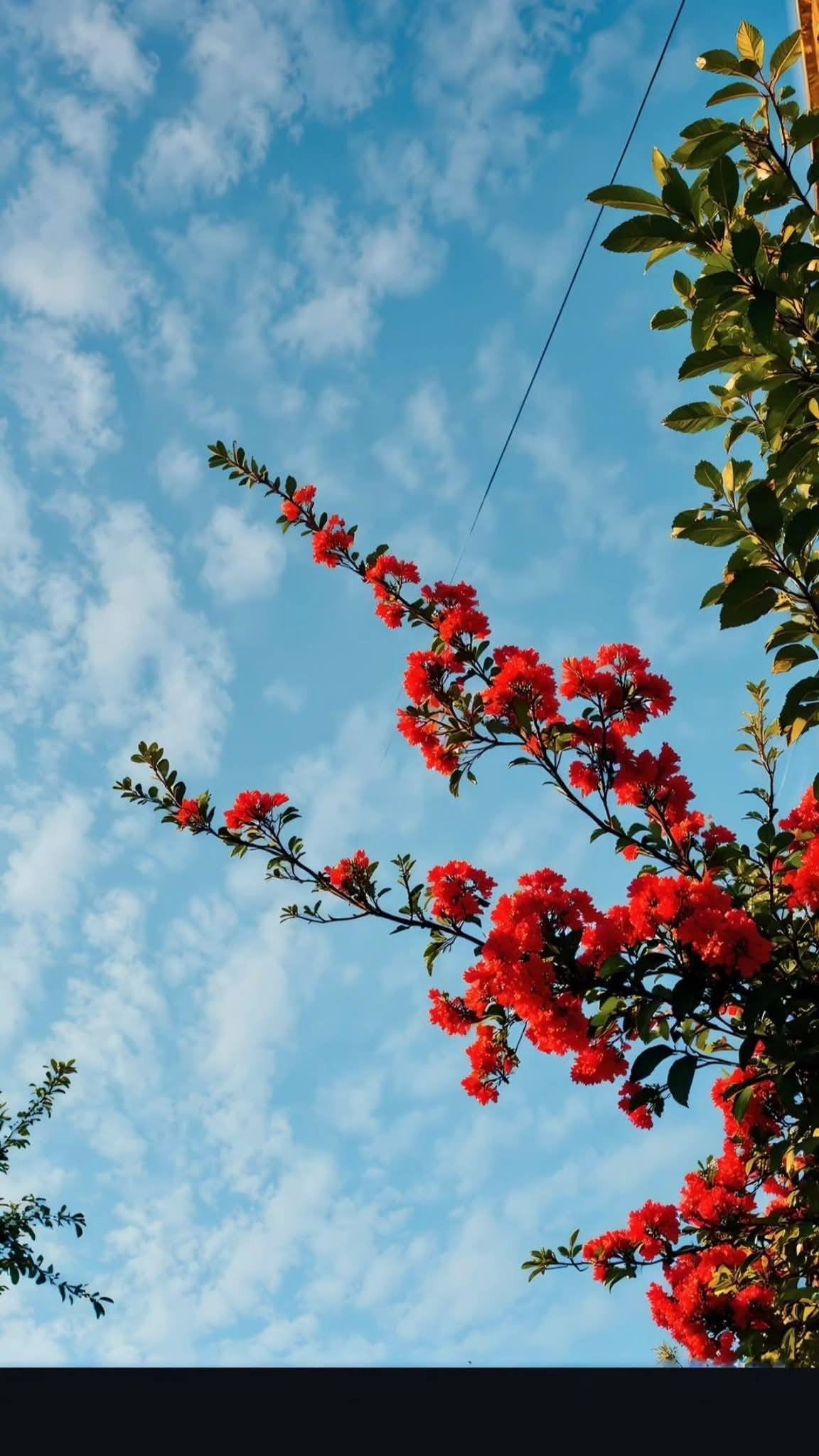 منشور landscape بعدسة من مجتمعنا