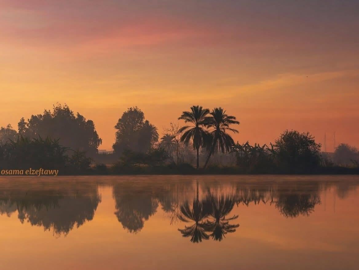 Osama El-Zeftawy