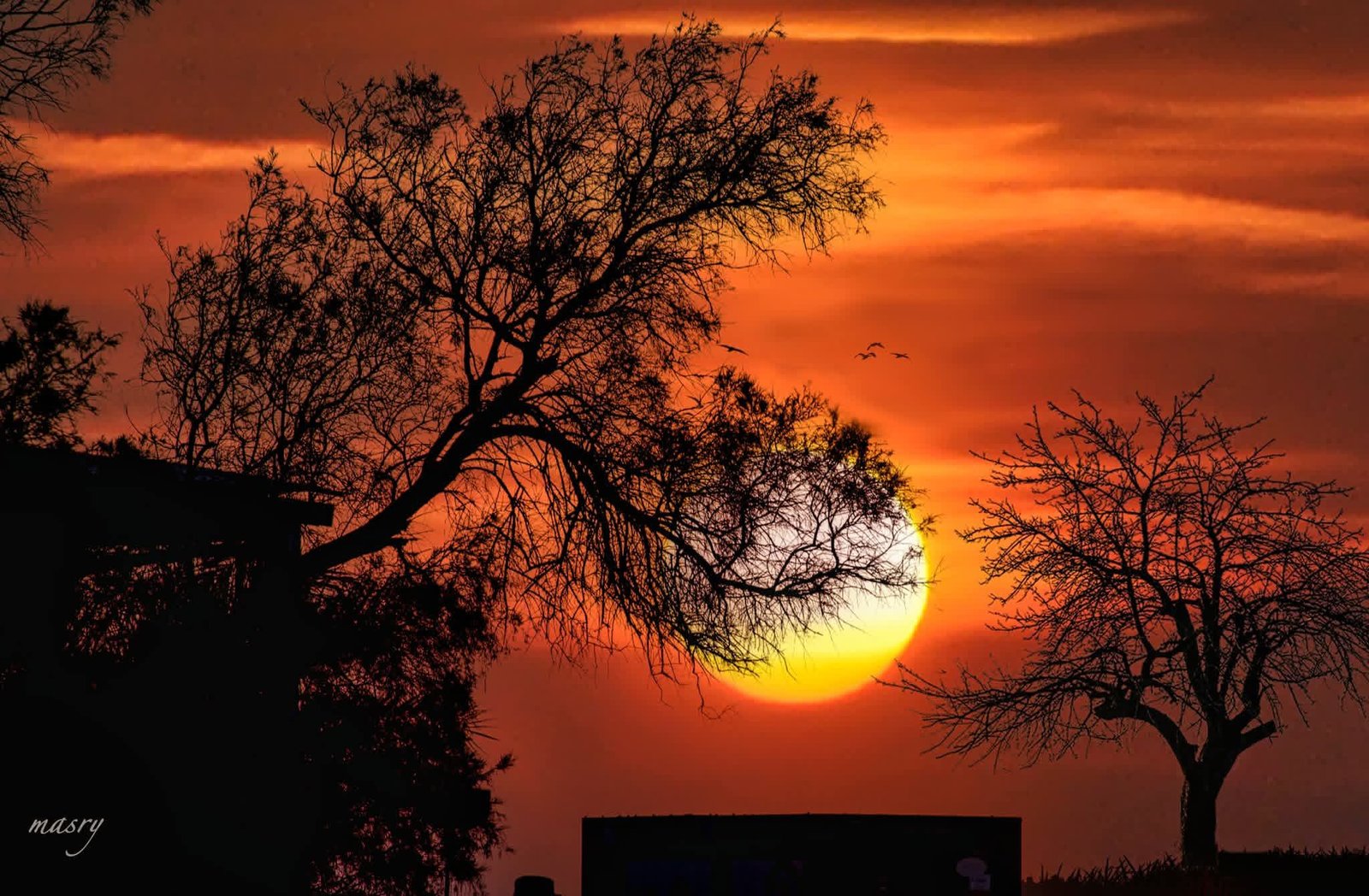 منشور landscape بعدسة من مجتمعنا