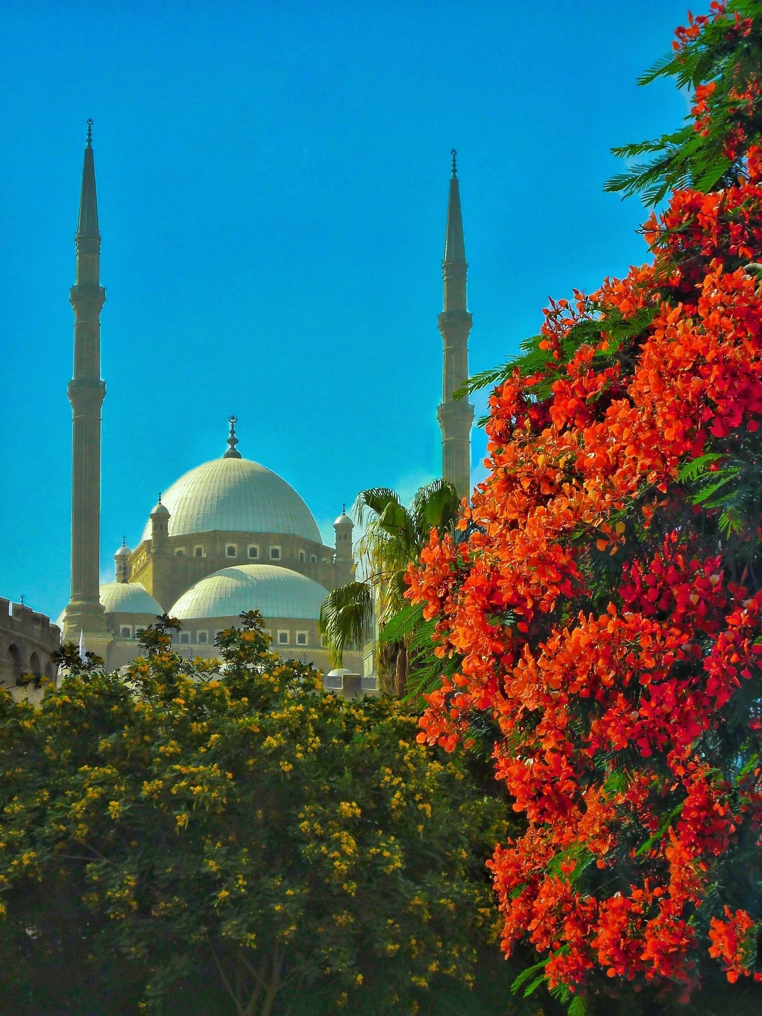 Abdullah Emad