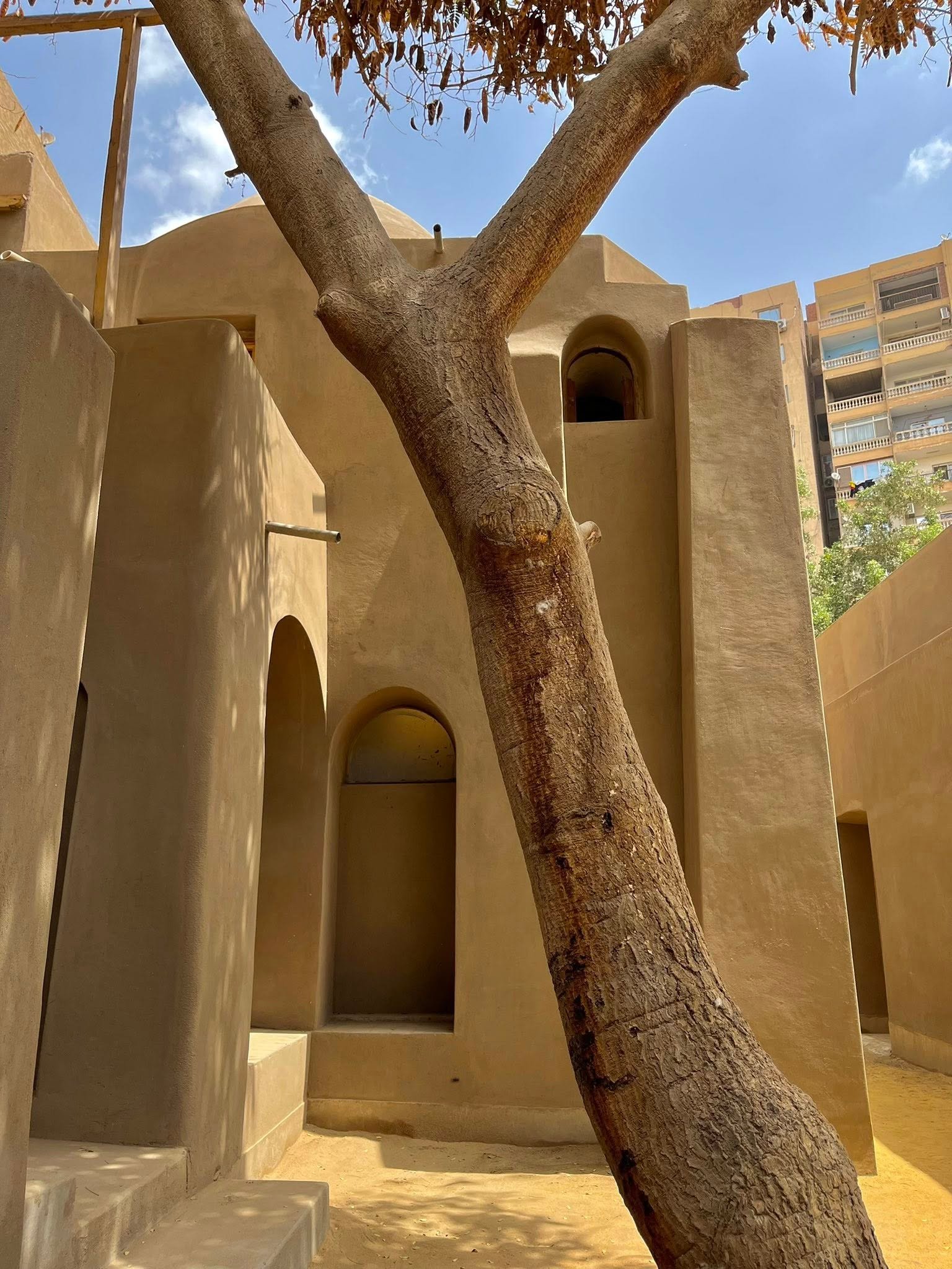 Haneen mohamed