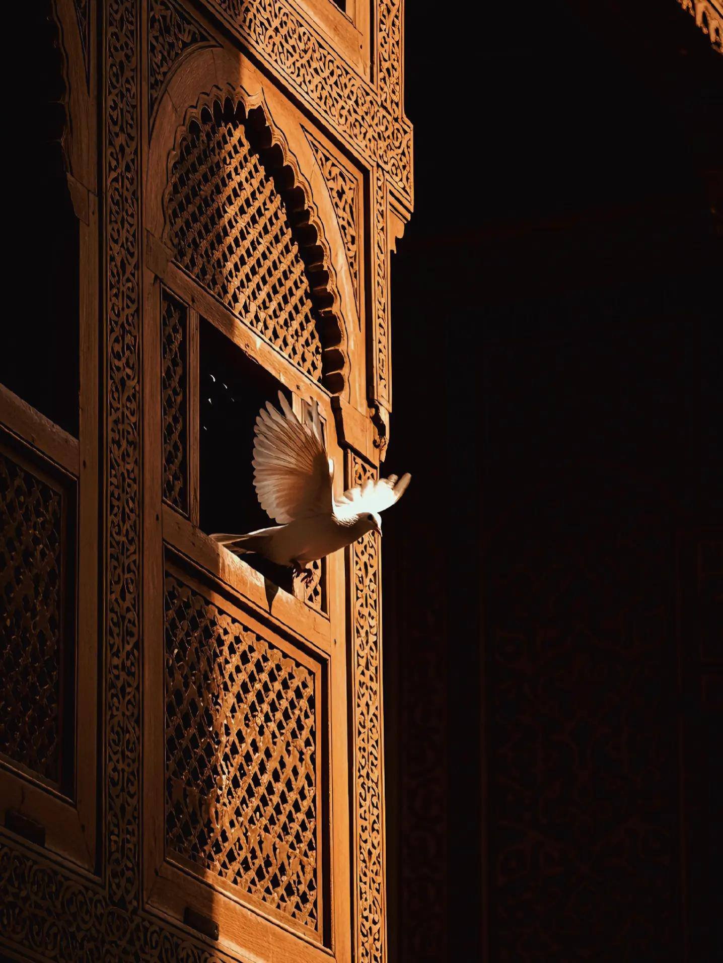 Omar Nabil