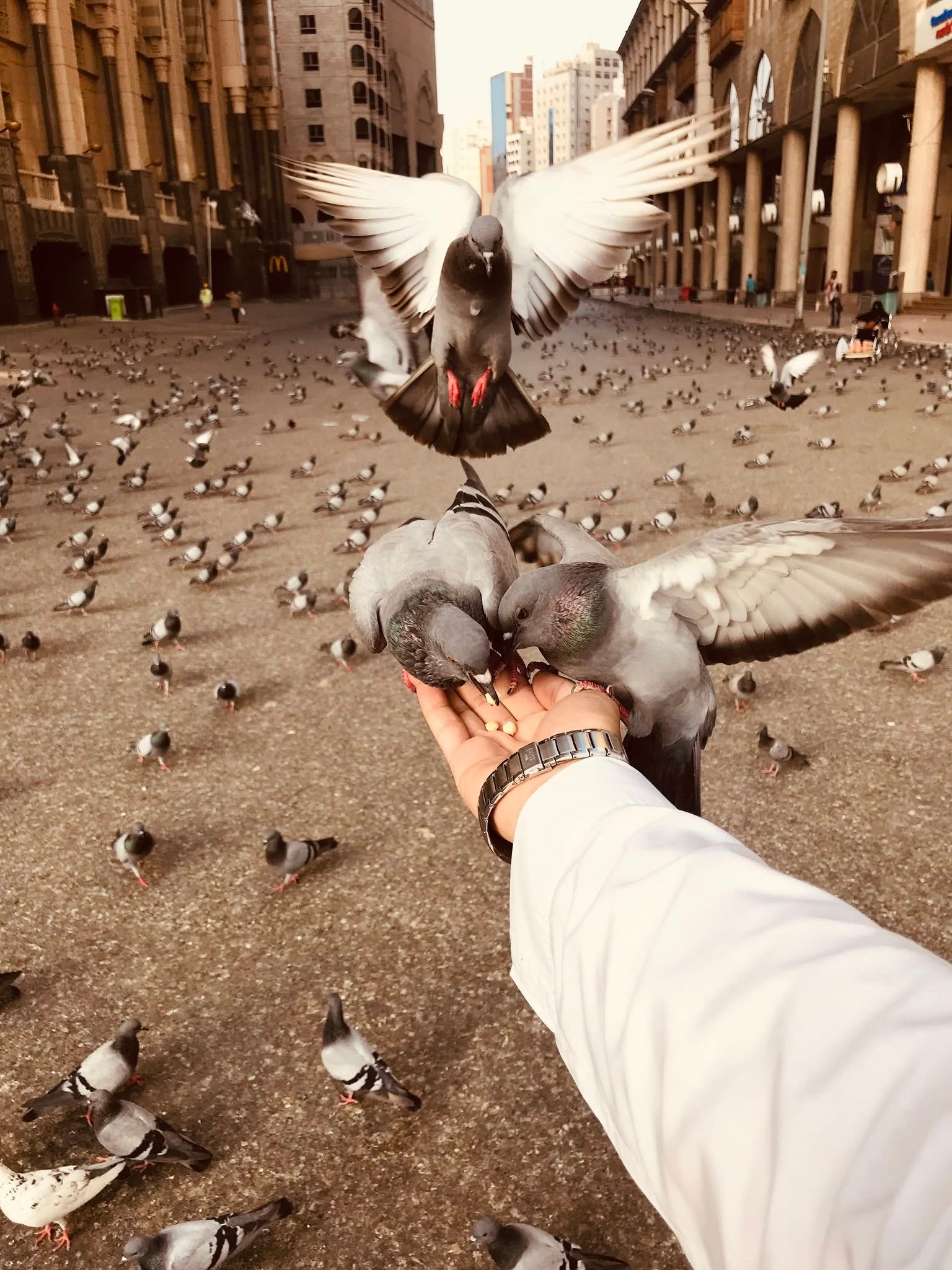لقطة من المدينة