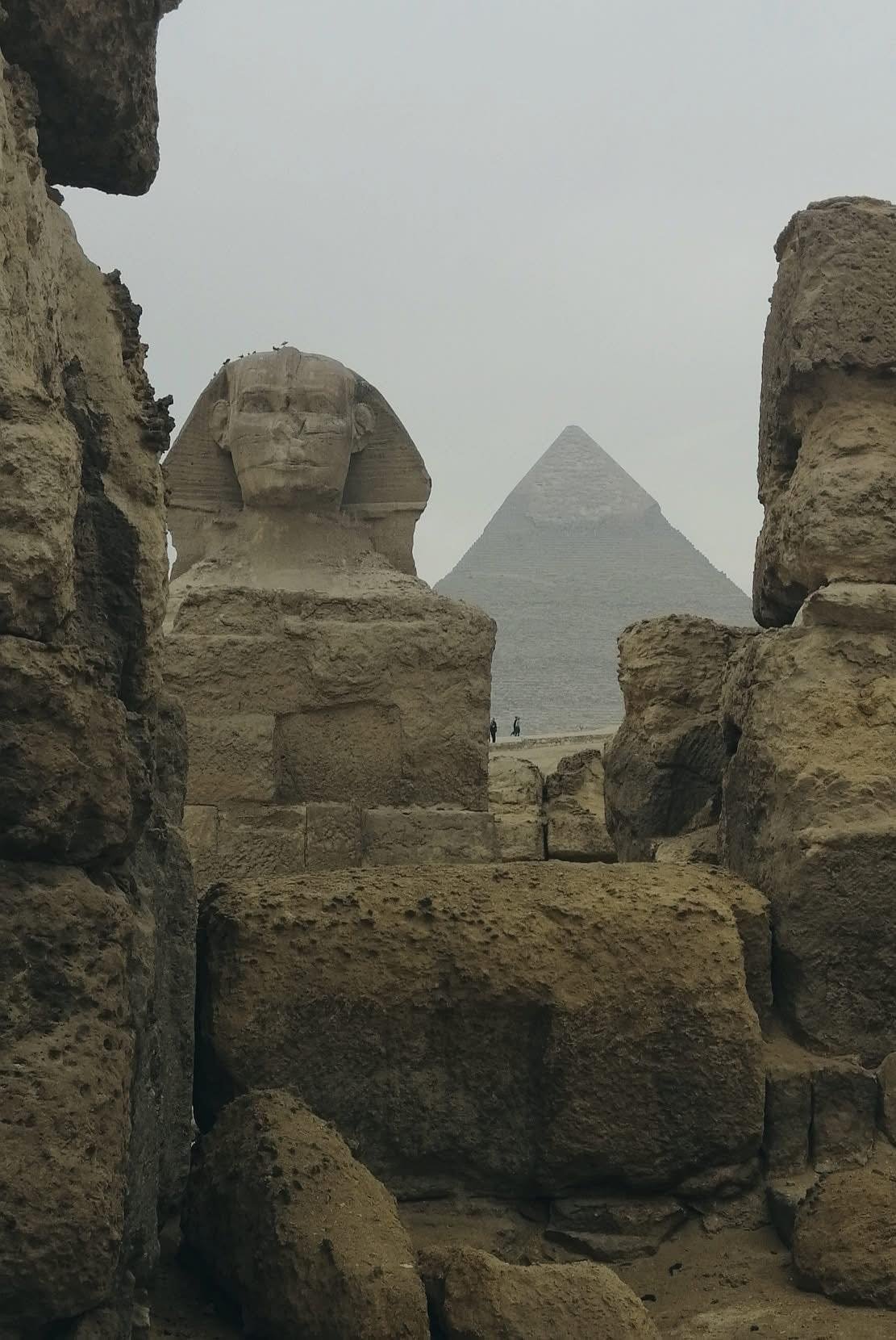 معرض الصور